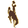 University of Wyoming logo